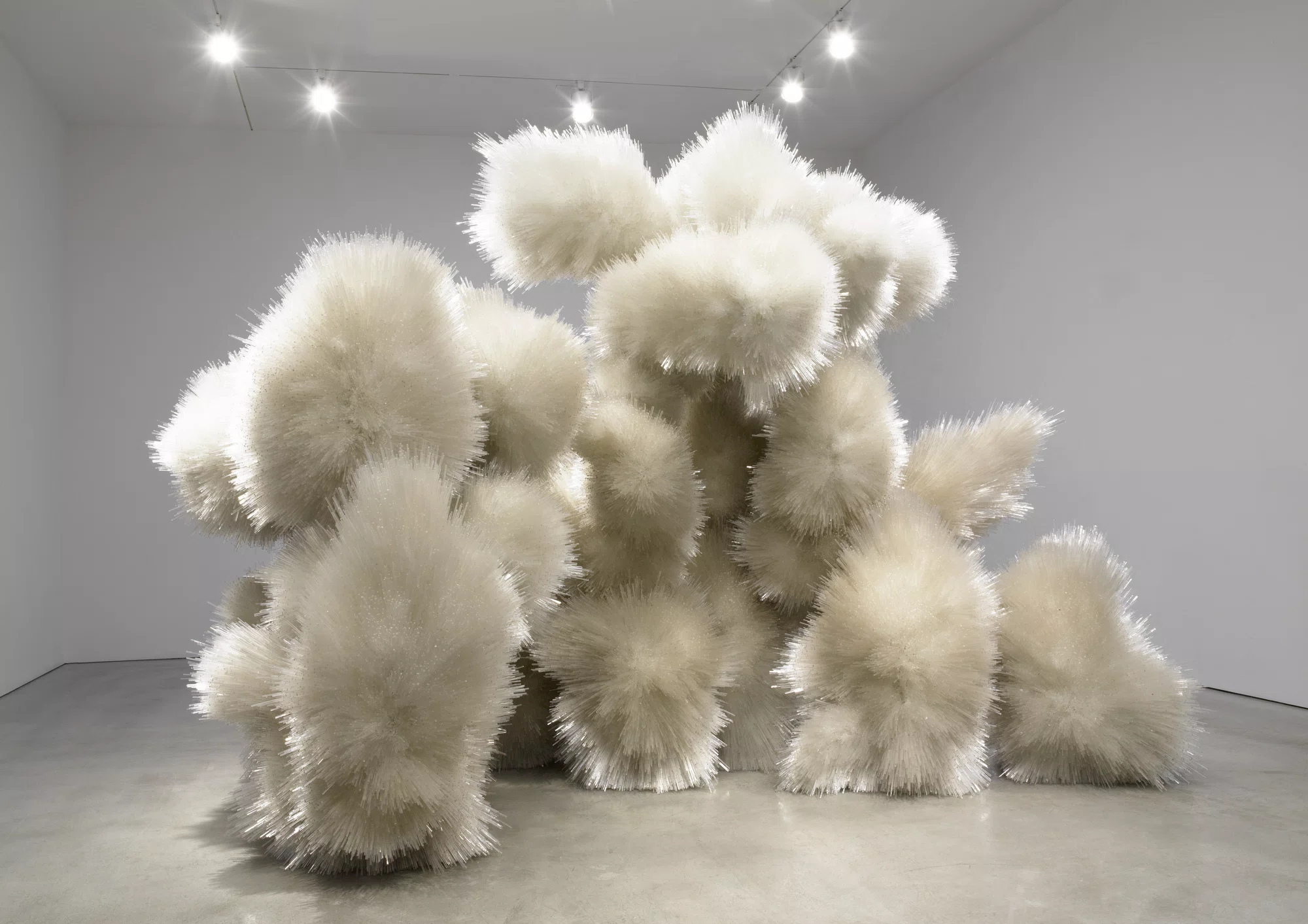 Untitled by Tara Donovan