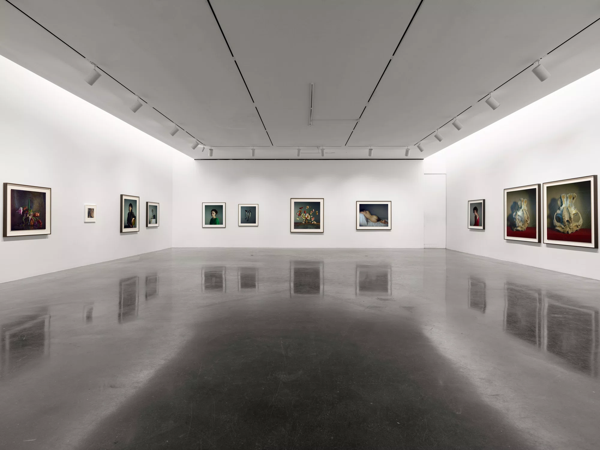 Installation view of A Loathing of Clocks and Mirrors by Richard Learoyd