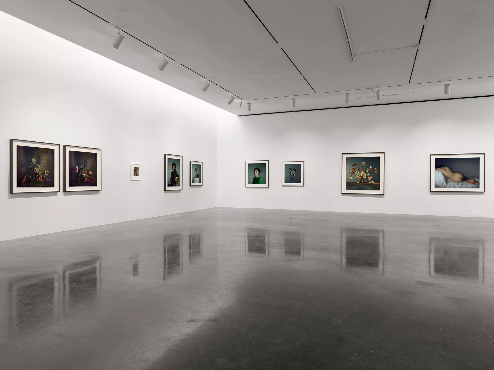 Installation view of A Loathing of Clocks and Mirrors by Richard Learoyd