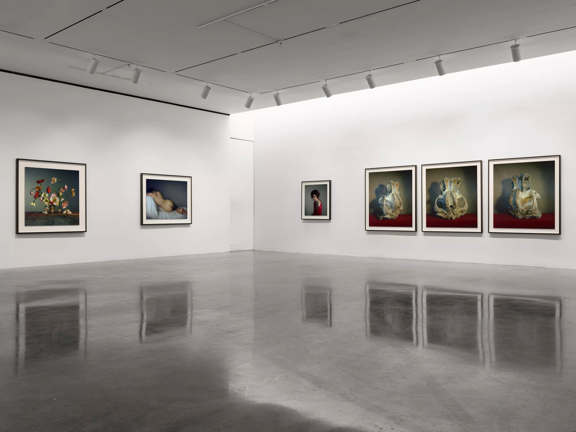 Installation view of A Loathing of Clocks and Mirrors by Richard Learoyd