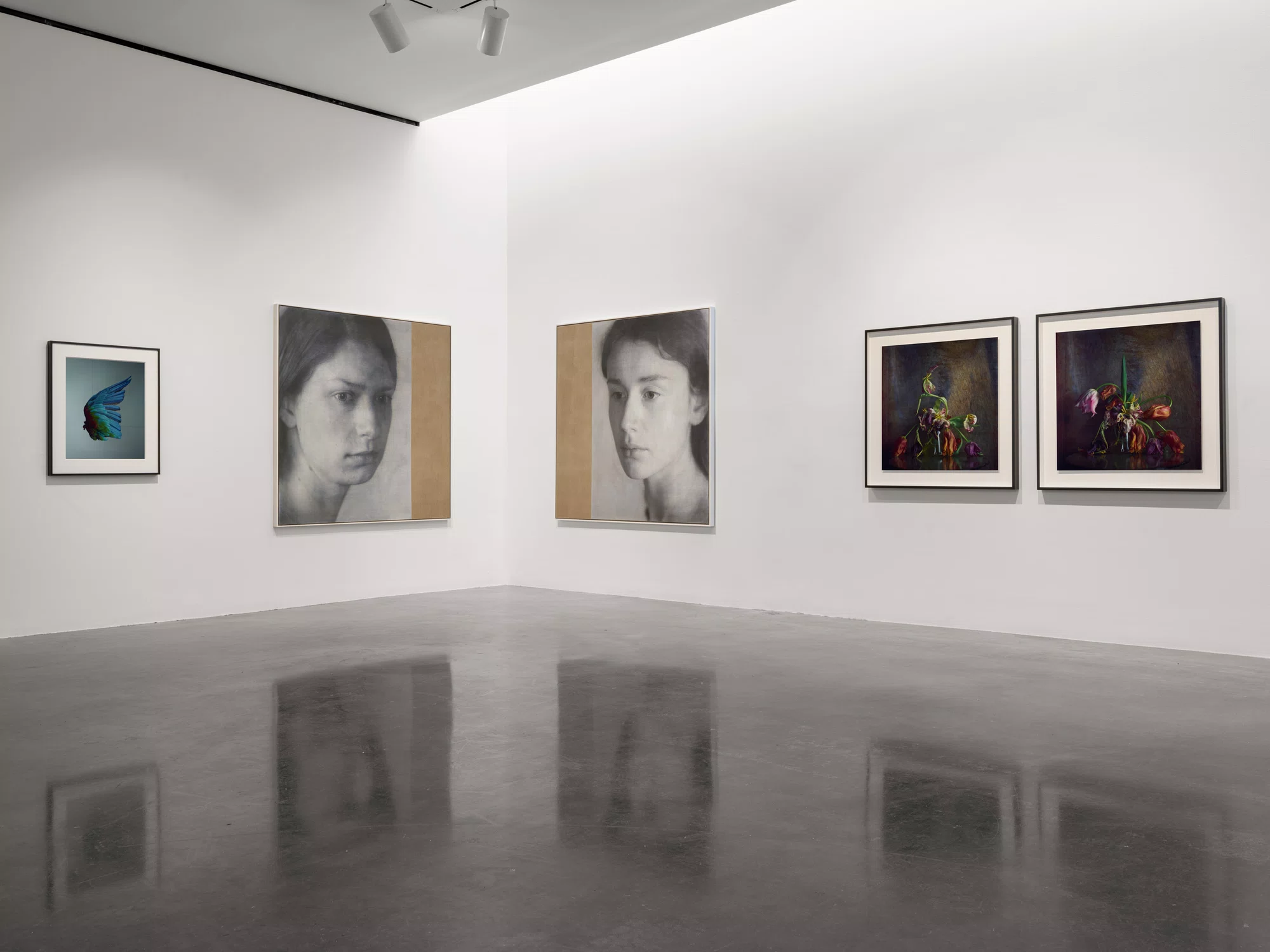 Installation view of A Loathing of Clocks and Mirrors by Richard Learoyd