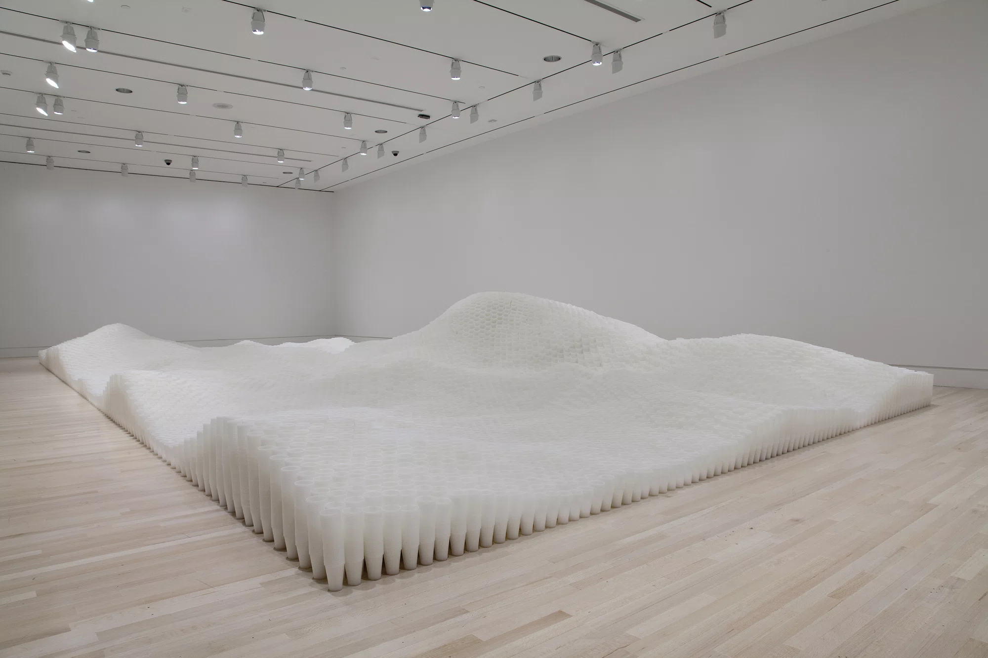 Untitled (Plastic Cups) by Tara Donovan